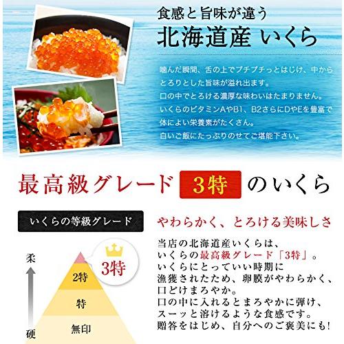 魚耕 いくら 醤油漬け 500g 北海道 3特グレード 冷凍 ギフト