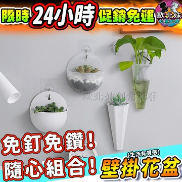 【限時特賣中🔥數量有限】壁掛花盆 收納盒 收納架 多肉植物花盆 筆筒盆栽 花架 花器 園藝裝飾造景盆栽 插花瓶 掛式盆栽