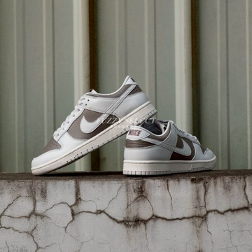 【逢甲 FUZZY】Nike Dunk Low Cave Stone 灰棕 HF5441-202