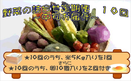 米5kgと卵20個付き！野菜の詰め合わせ定期便10回(中旬)