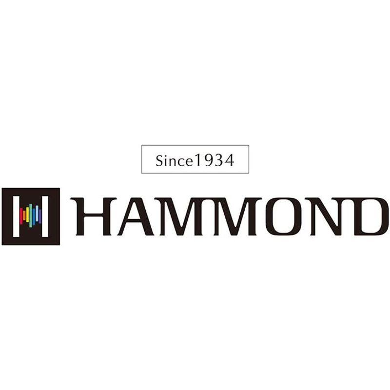 HAMMOND ハモンド 10穴ハーモニカ HAMMOND HA-20 E♭調