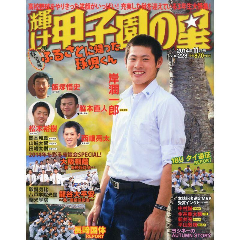 輝け甲子園の星 2014年11月号