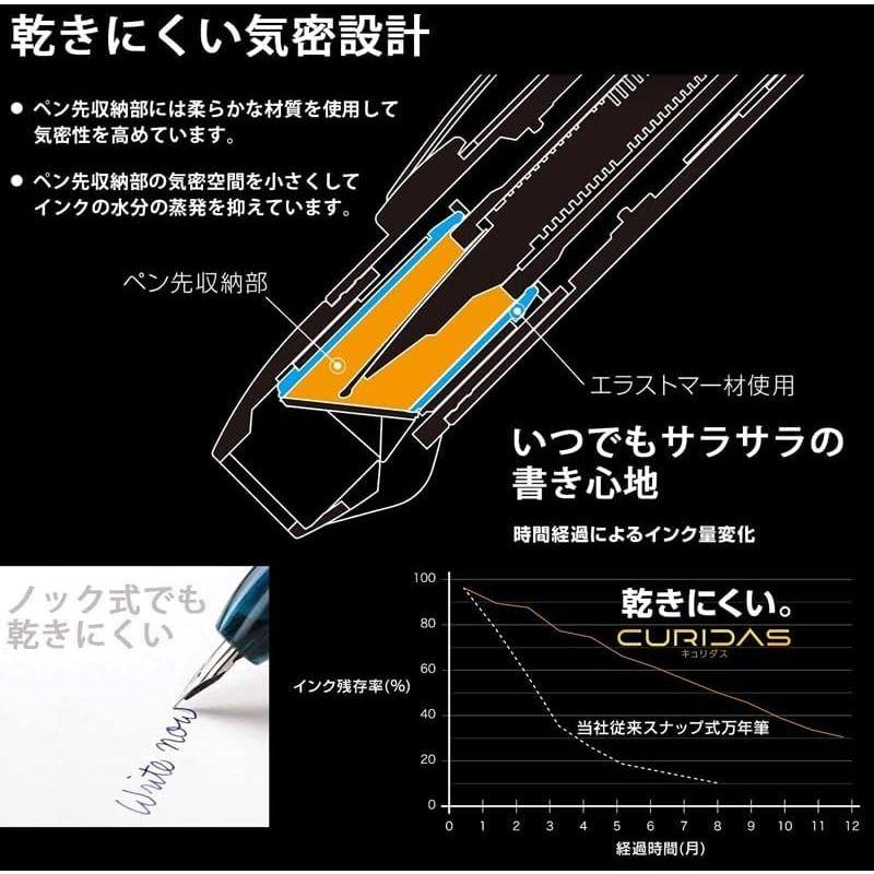 万年筆 プラチナ万年筆 キュリダス クリスマス限定 特別パッケージ ノック式 グラファイトスモーク 両用式 細字F PKN-7000SET-