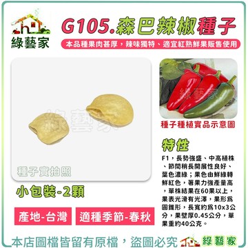 【綠藝家】G105.森巴辣椒種子2顆(F1)  長勢強盛、中高植株，果色由鮮綠轉鮮紅色，著果力強產量高。