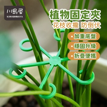台灣現貨 防倒伏 花卉支架 花架 植物支撐架 植物莖支架 盆栽收攏架 花梗支架 植物防倒伏固定器 枝條收攏器 【川島屋】