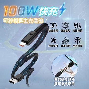 【禾統】 可修復充電線USB-A to Type-C 100W