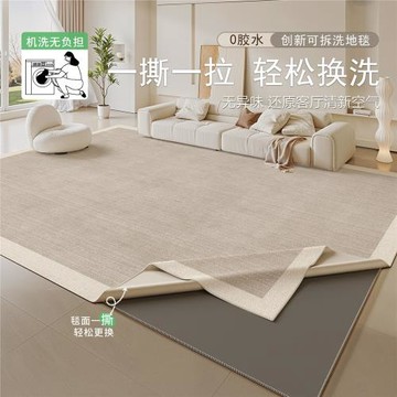 可拆洗地毯客廳防污可擦奶油風地墊大面積全鋪輕奢高級臥室床邊毯