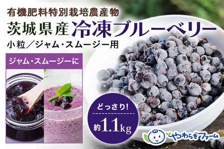 茨城県産冷凍ブルーベリー（小粒） 1.1kg 国産 小分け 特別栽培農産物 有機肥料 安心安全 約1kg 約1キロ 使いやすい ジャム スムージー ヨーグルト 冷凍フルーツ 冷凍果物 冷凍くだもの ジュース 眼精疲労 スーパーフード 美肌効果 健康 美容 食物繊維 腸活 アンチエイジング 老化防止 ９－Ｊ