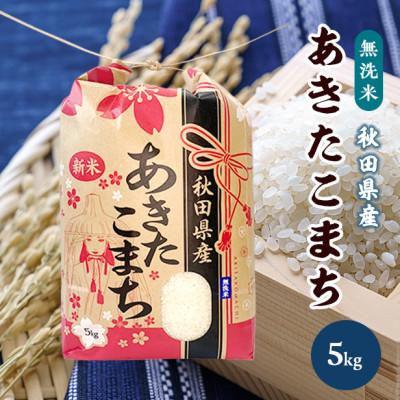 ふるさと納税 潟上市 令和5年産秋田県産あきたこまち一等米5kg(無洗米)