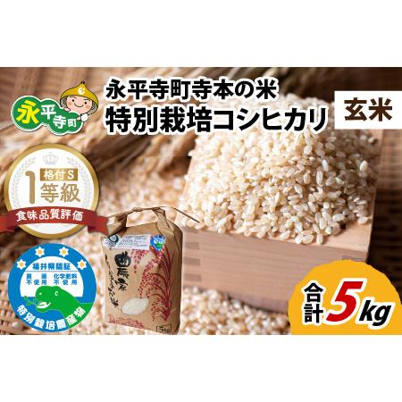 ふるさと納税 令和5年産 新米 無農薬・化学肥料不使用 永平寺町寺本の米 特別栽培コシヒカリ 玄米 5kg [B-027009] 福井県永平寺町