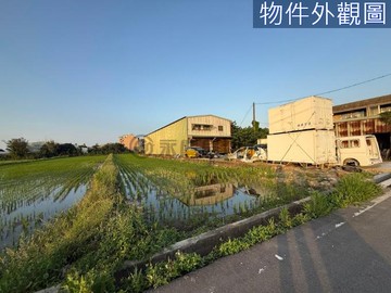 大園圳頭一般農地 臨路、方正｜桃園市大園區圳股頭