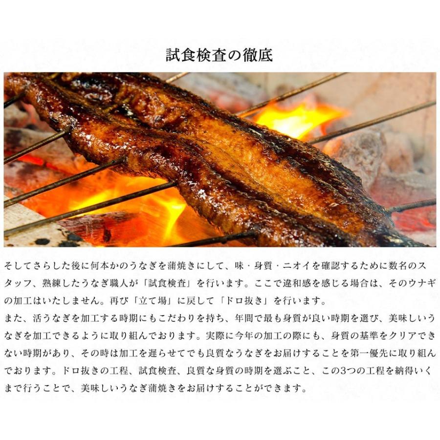 うなぎ 蒲焼き ウナギ 鰻 500円OFFクーポン有 にほんうなぎ蒲焼き 165g×2尾 計330g 台湾産 タレ山椒付き 食べ方ガイド付き 化粧箱入 シールのし対応 ギフト