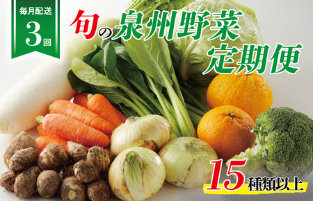 泉州野菜 定期便 全3回 15種類以上 詰め合わせ 国産 新鮮 冷蔵