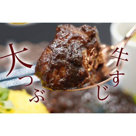 ふるさと納税 博多和牛１００％使用！！あまおうがほのかに香る牛すじゴロっとカレー（１７０ｇ×１０袋） あまおう 博多和牛.. 福岡県田川市