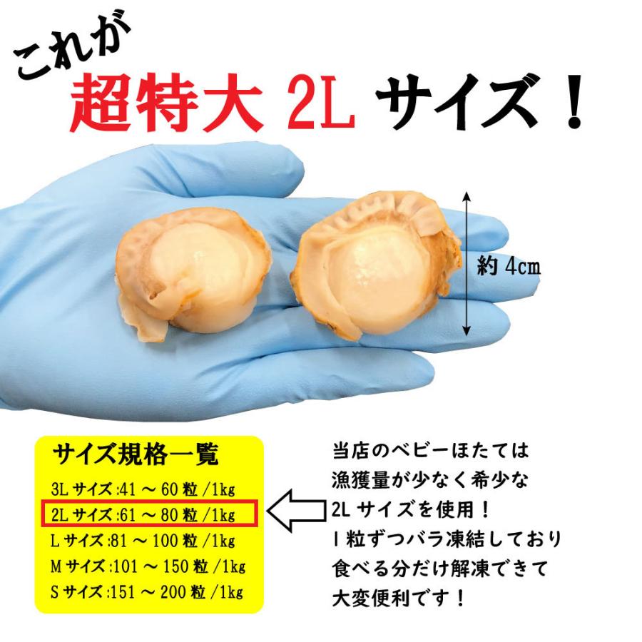 ボイル ベビー ほたて 特大 2L 1kg 61~80粒 牡蠣・貝類 ホタテ 帆立 貝柱 刺身