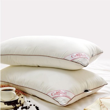 【枕頭】咖啡纖維枕/47*74cm/除臭抑菌/可水洗