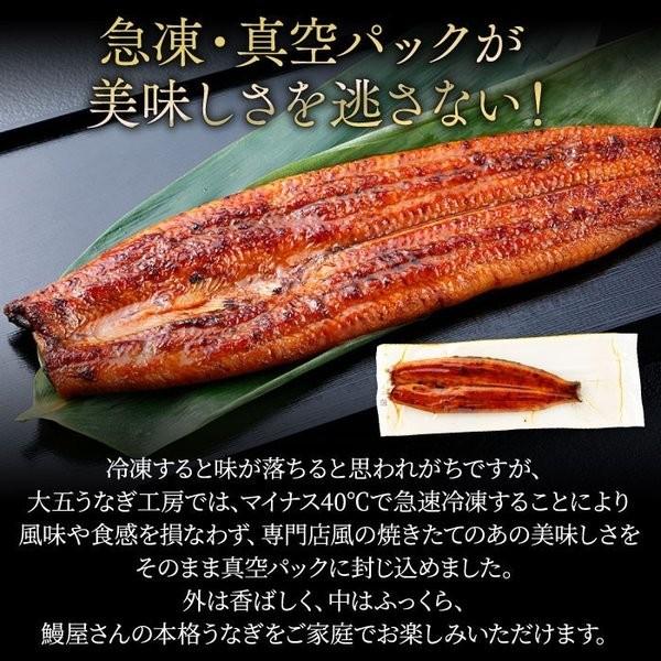 国産うなぎ 長蒲焼(小)5尾セット ご自宅用 簡易箱 送料無料