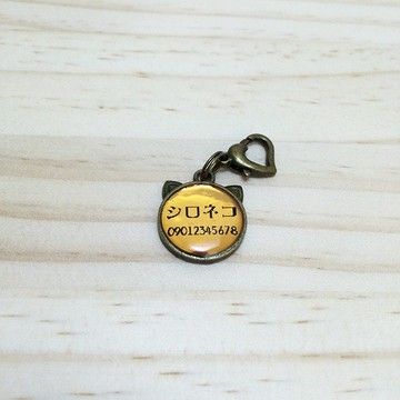 丟失的貓小貓標籤從小貓到成年貓，帶有貓形金心罐