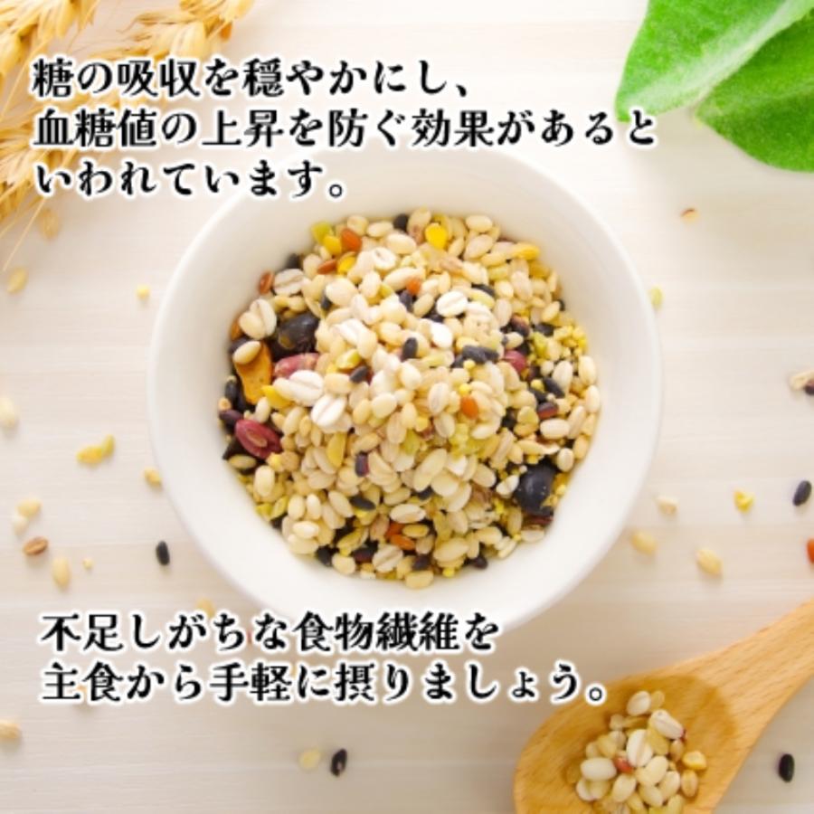 もち麦十六雑穀米からだサポート 150ｇ×4袋　玄米　雑穀米　16雑穀米　料理　食物繊維　人気　健康維持　スーパーフード　便秘改善　簡単　美容