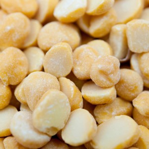 送料無料 チャナダール 5kg 業務用 常温便 豆 Chana Dal ヒヨコ豆のひき割り ひよこ豆