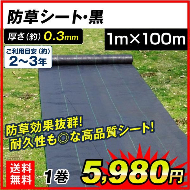 日本限定 砂利下防草シート 1X10m ミドリ ダイオ化成 園芸用品