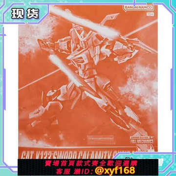 {保固一年 可打統編}現貨 萬代 FM 1/100 GAT-X133 劍裝災厄 高達 PB限定 拼裝模型