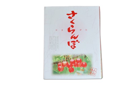 《先行予約》ご家庭用 2024年 山形県産 さくらんぼ 佐藤錦 フードパック 800g（200g×4）秀 Ｍサイズ（小さめ）2024年6月中旬から順次発送 支援品 訳あり 自宅用 小粒 F21A-232