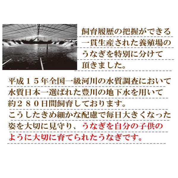 うなぎ 鰻 ギフト プレゼント 極上豊橋うなぎ＆白老辛口純米酒＆おつまみセット :送料無料