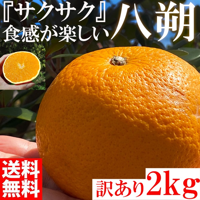 2月下旬発送予約販売 はっさく 八朔 2kg 訳あり 和歌山 みかん オレンジ