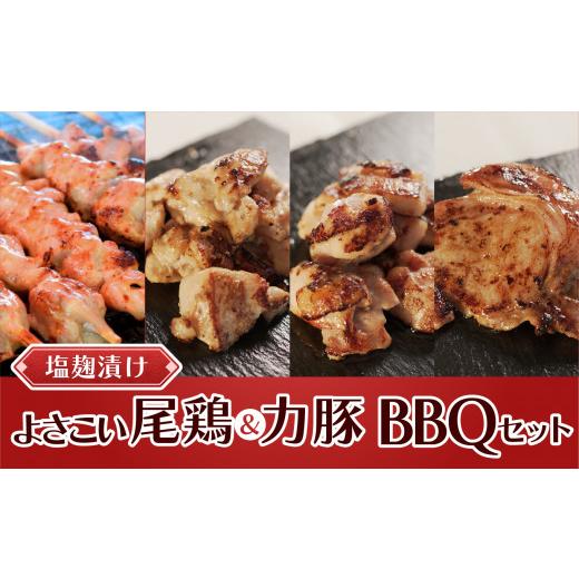 ふるさと納税 高知県 大月町 塩麹につけたよさこい尾鶏と力豚のBBQセット