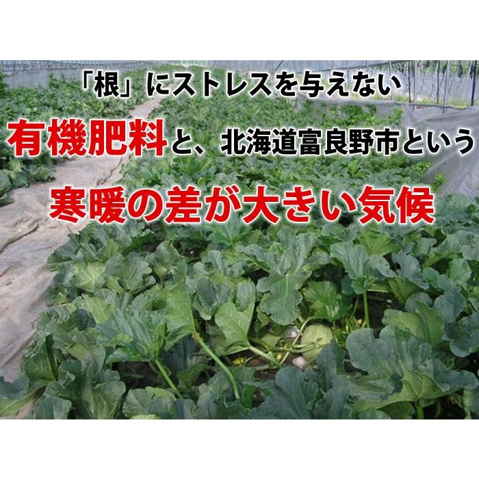 2024年ご予約販売 メロン 富良野メロン 北海道産 赤肉 秀品 Lサイズ 1.2kg前後 2玉 送料無料