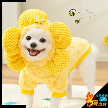 【台灣出貨】寵物衣服 寵物用品 太陽花帽子 變身 加絨衣服 狗狗貓咪 泰迪 比熊 法鬥 柯基 寵物毛絨衣服 狗狗衣服