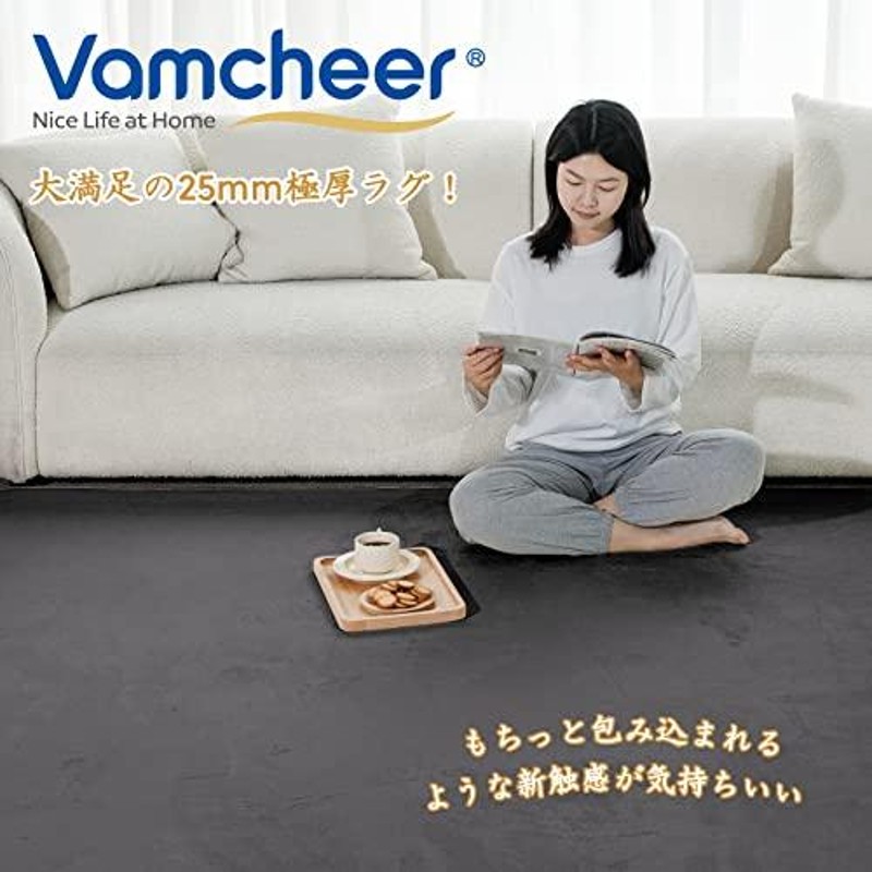 Vamcheer ラグ カーペット 低反発ラグ 極厚25mm ラグマット 185x185cm