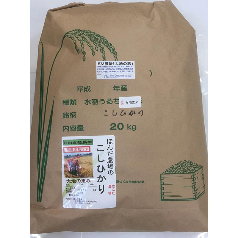 令和5年産 新米 無農薬栽培米 こしひかり 玄米 20kg お米  自然農法  「大地の恵」