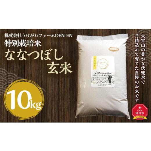 ふるさと納税 北海道 旭川市 特別栽培米　ななつぼし玄米　10kg　令和5年産　新米