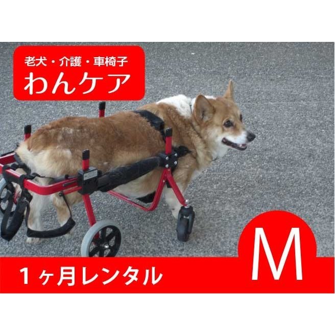 1ヶ月レンタル延長 ４輪の犬の車椅子 K9カート犬用車椅子サポート ...