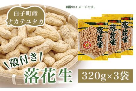 白子町産ナカテユタカ 殻付き落花生 320g×3袋（A） SHJ001