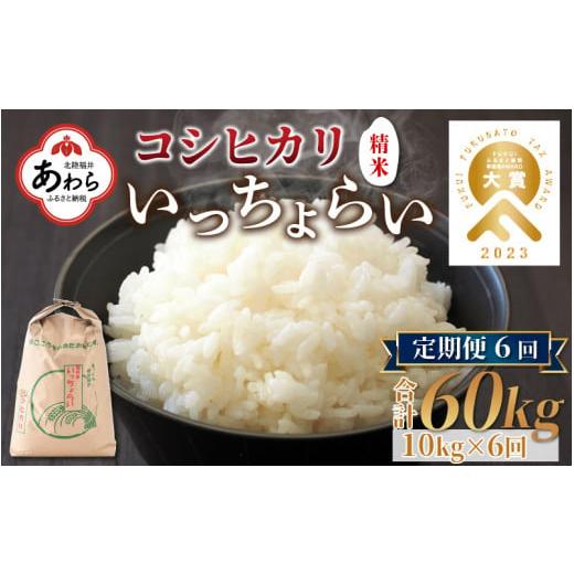 ふるさと納税 福井県 あわら市 《定期便6回》いっちょらい 精米 10kg（計60kg） ／ 福井県産 ブランド米 コシヒカリ ご飯 白米 新鮮 大賞 受賞 …