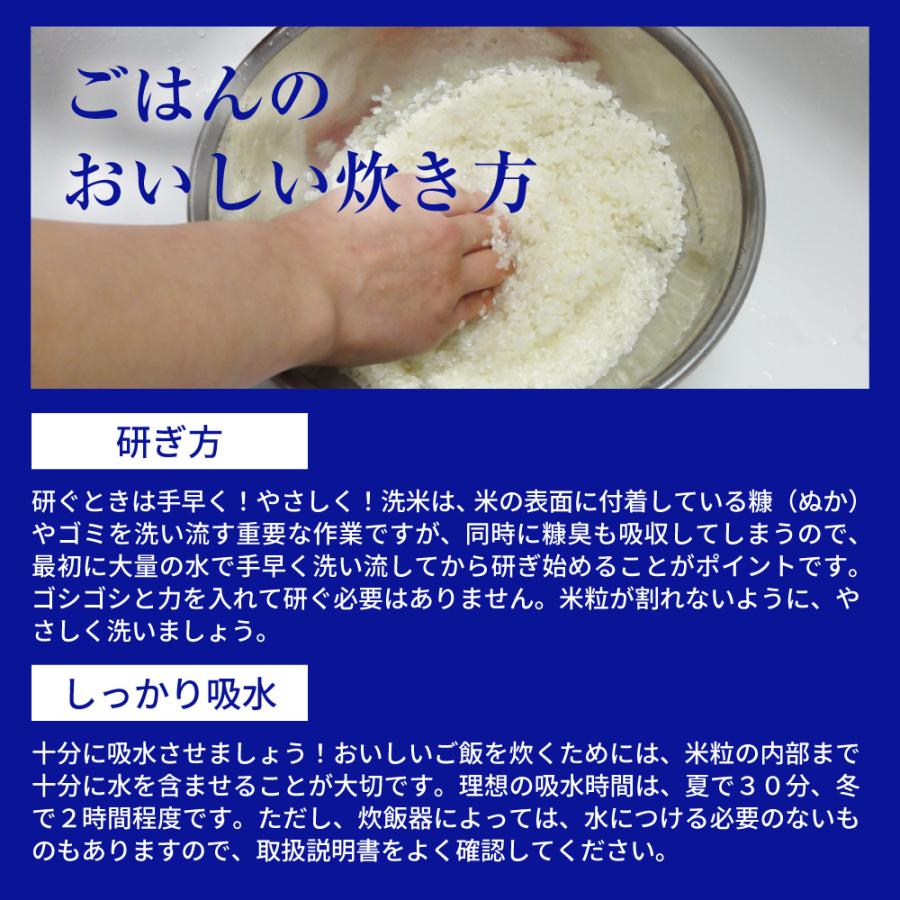 お米 ごはん白米 5kg 5キロ 新潟県産 こしいぶき コシイブキ 令和5年産