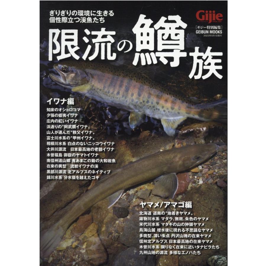 翌日発送・限流の鱒族