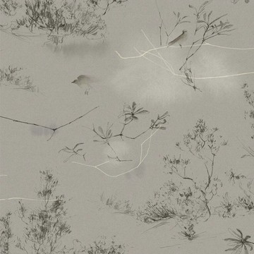 灰色鳥紋壁紙手繪壁紙quercus Co 澳大利亞進口壁紙the Coastland Ii Collection Canopy Ii Pewter 台灣樂天市場 Line購物