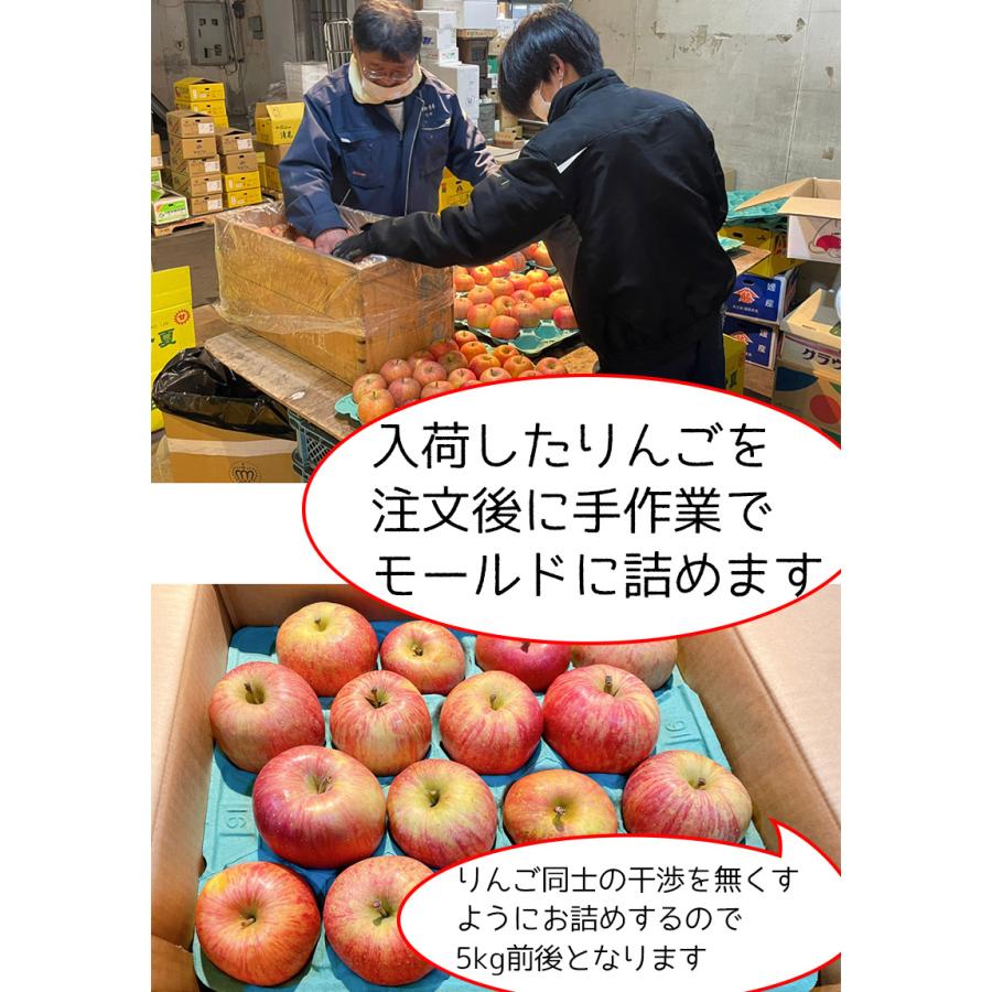 りんご 訳あり 5kg箱 青森県産 サンふじ りんご 5Kg前後 送料無料 糖度保証 りんご 訳あり 5kg箱 予約 11月以降発送