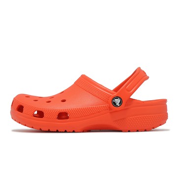 Crocs 洞洞鞋 洞洞鞋 Classic Clog 男女鞋 經典克駱格 海星橙 休閒鞋 涼拖鞋 卡駱馳 100017AH