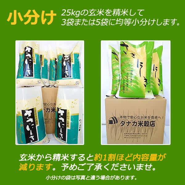 新米 宮城県産 令和5年産 ささにしき 玄米 25kg