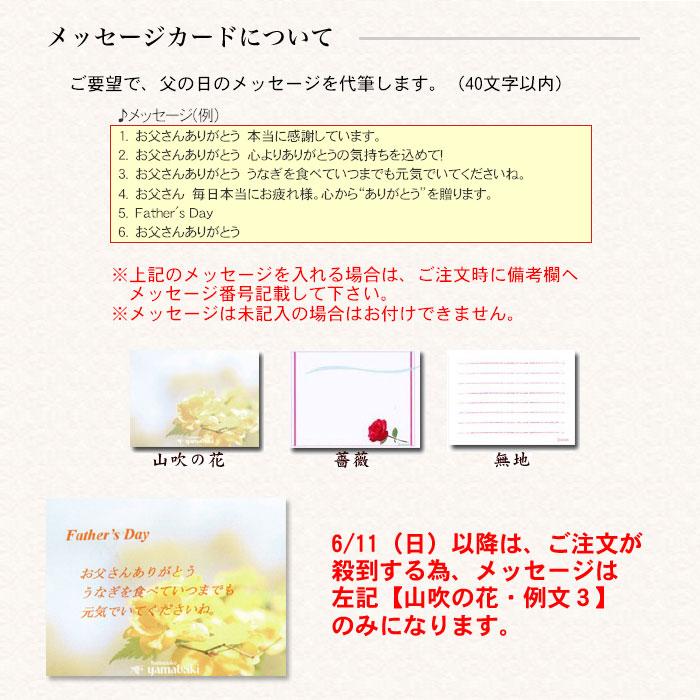 うなぎ蒲焼きギフト うなぎ 国産うなぎ蒲焼 肝吸いギフト詰め合わせ 送料無料