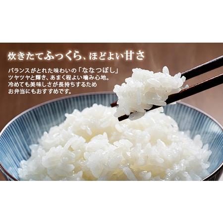 ふるさと納税 定期便 隔月3回 北海道産 ななつぼし 精米 20kg 5kg×4袋 米 新米 特A 白米 お取り寄せ ごはん 道産米 ブランド米 まとめ買.. 北海道倶知安町