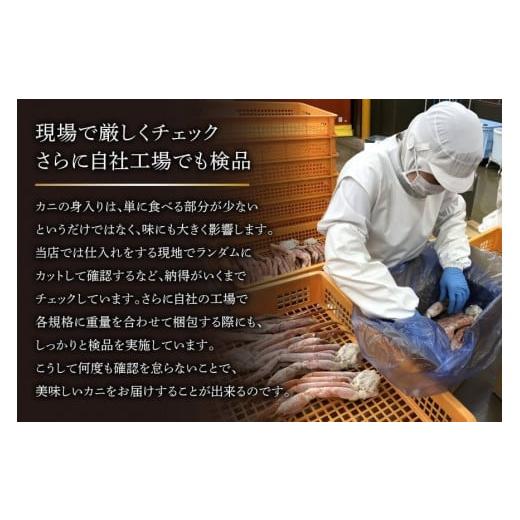 ふるさと納税 宮城県 気仙沼市 カニ 訳あり ボイルずわいがに 肩付き脚 総重量1kg ／ カニパラダイス ／ 宮城県 気仙沼市 [20562923] かに ズワイガニ ずわい…