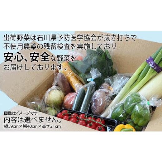 ふるさと納税 石川県 小松市 JA小松市 季節の野菜詰合せ