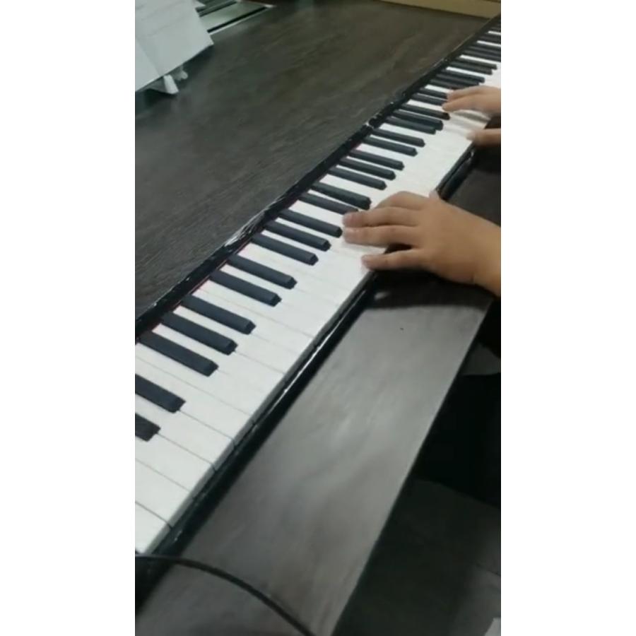 an-do-er 88 Key Electronic Piano Keyboard Silicon Flexible Piano with Loud Speaker and Foot Pedal