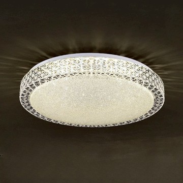 96W 單色吸頂燈 L01-2351B